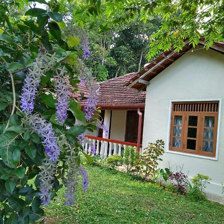 The Pepper Cottage Gomagoda Esterno foto