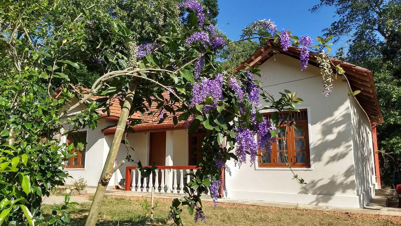 The Pepper Cottage Gomagoda Esterno foto